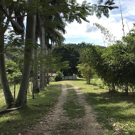 Cabanas Maya Rue Palenque Kültér fotó