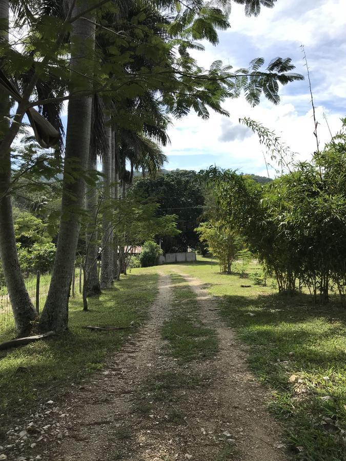 Cabanas Maya Rue Palenque Kültér fotó